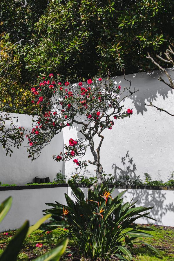 Quinta Dos Misterios- Turismo De Habitacao Fajã de Santo Amaro Exterior foto